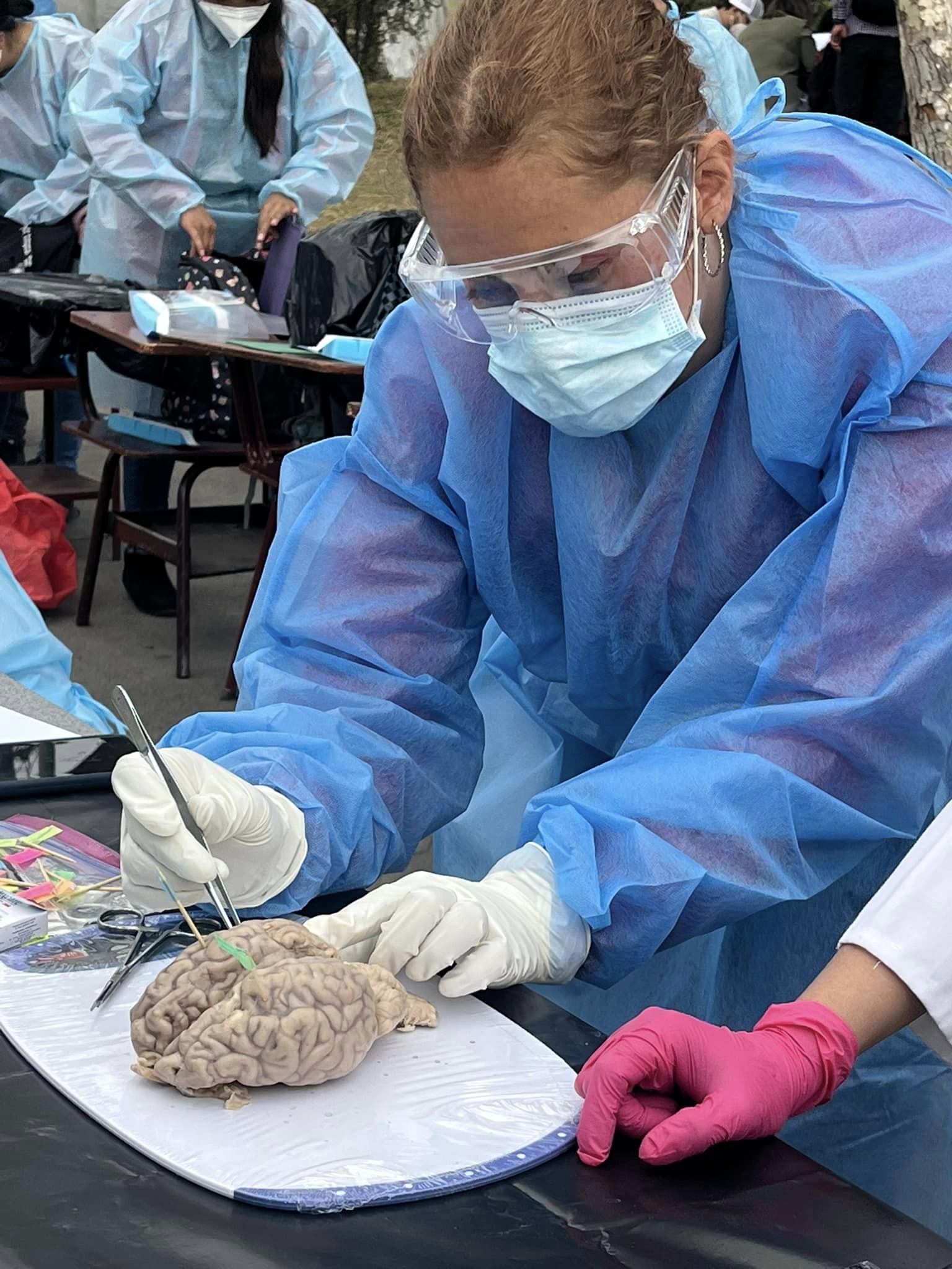 Investigación universitaria